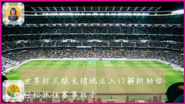 世界杯买球竞猜玩法入门解析助你轻松抓住赛事机会