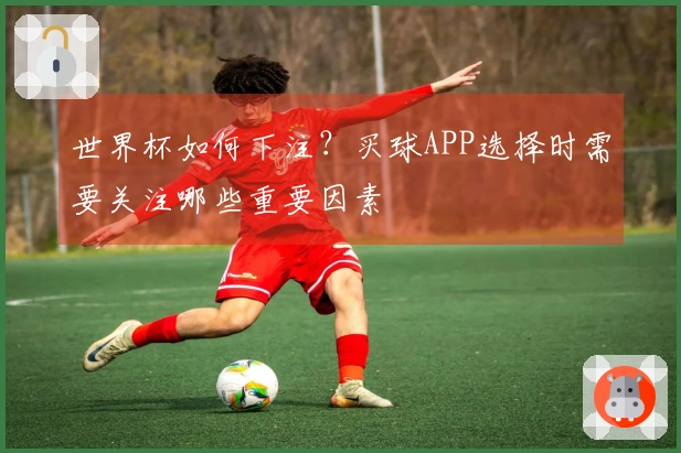 世界杯如何下注？买球APP选择时需要关注哪些重要因素