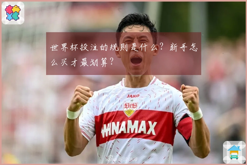 世界杯投注的规则是什么？新手怎么买才最划算？