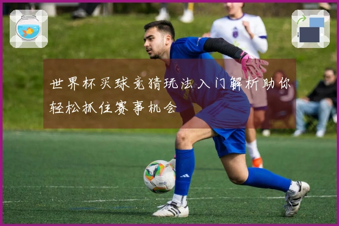 世界杯买球竞猜玩法入门解析助你轻松抓住赛事机会
