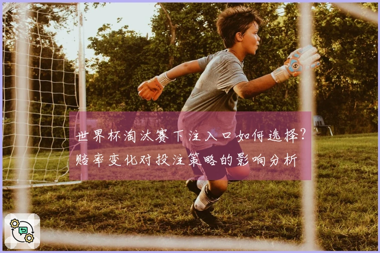 世界杯淘汰赛下注入口如何选择？赔率变化对投注策略的影响分析