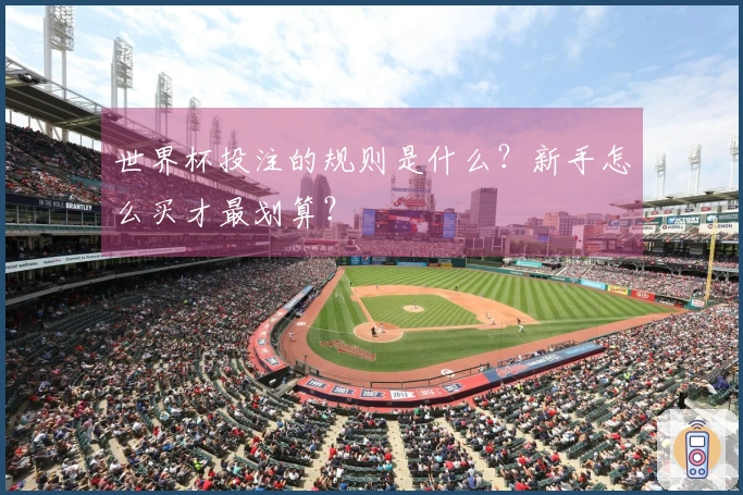 世界杯投注的规则是什么？新手怎么买才最划算？