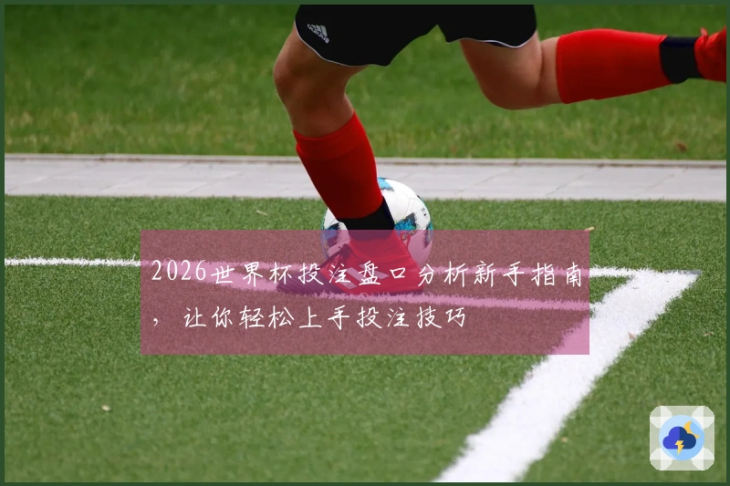 2026世界杯投注盘口分析新手指南,让你轻松上手投注技巧