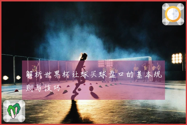 解析世界杯让球买球盘口的基本规则与技巧