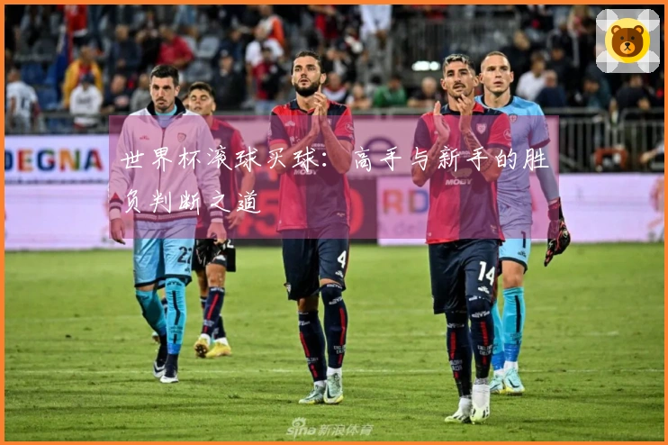 世界杯滚球买球：高手与新手的胜负判断之道