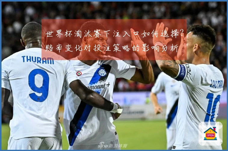 世界杯淘汰赛下注入口如何选择？赔率变化对投注策略的影响分析